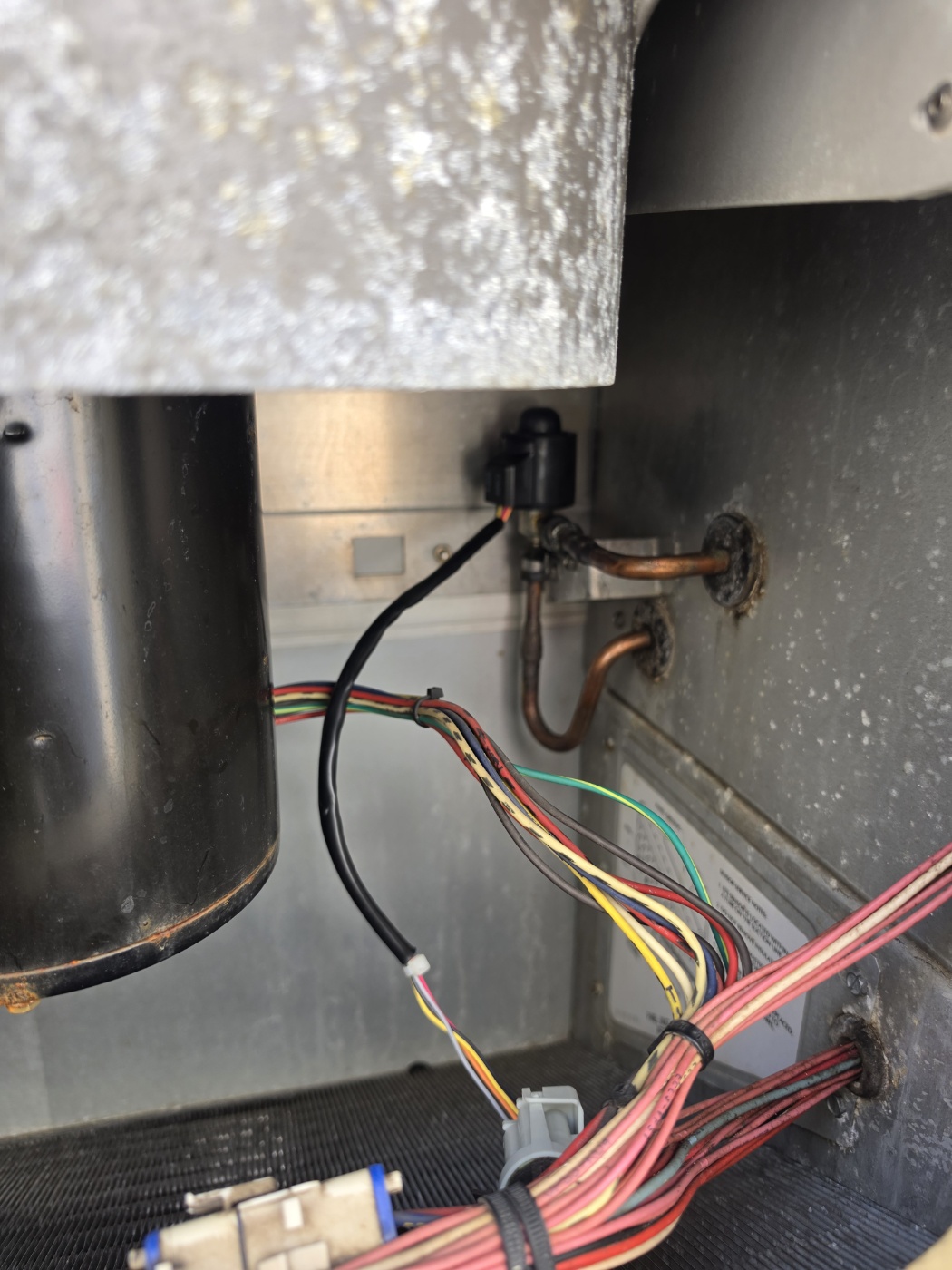 Carrier AL03 eev coil